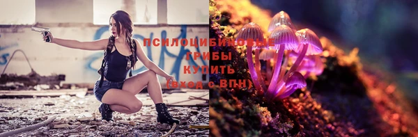 бошки Волоколамск