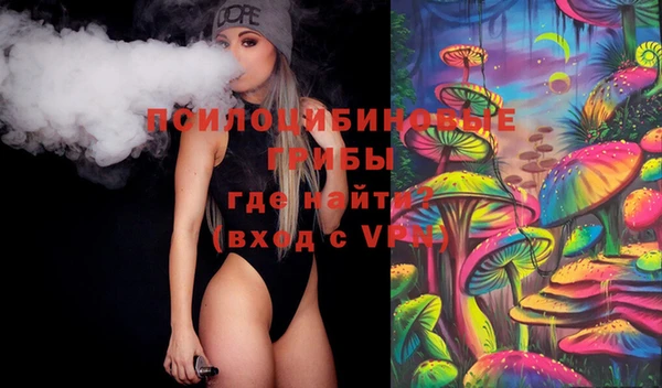 прущие крисы Горняк