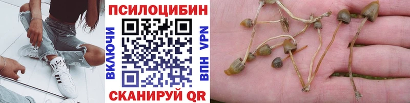 Галлюциногенные грибы Cubensis  Жирновск 